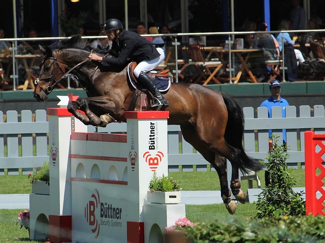 保护比赛的 保护比赛的