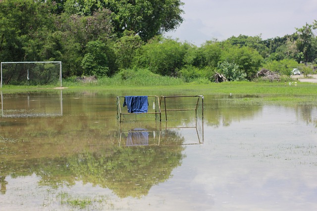 经历了一些 经历了一些