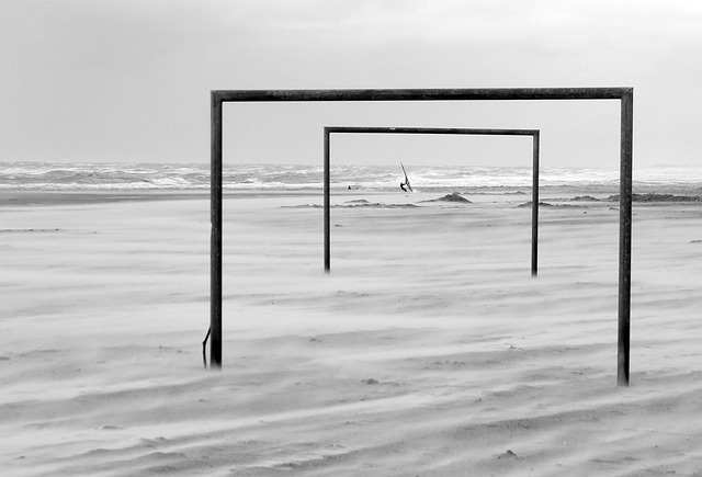 中的拉菲尼 中的拉菲尼