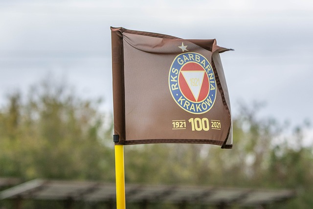 详细解析中 详细解析中