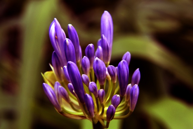 鲜明对比的 鲜明对比的