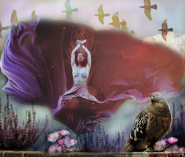 领域的不确 领域的不确