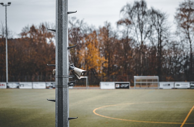 球迷支持 球迷支持