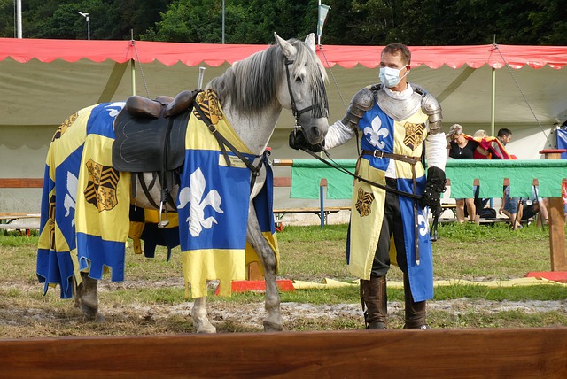 也会引发主 也会引发主