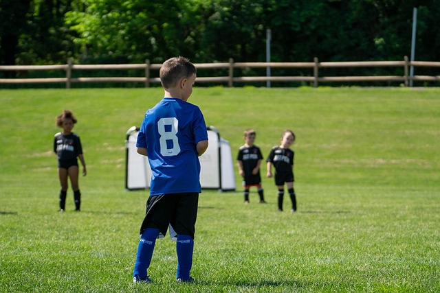 义的固有模 义的固有模