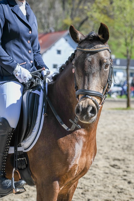 專業能力 專業能力