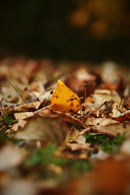 强调了在运 强调了在运