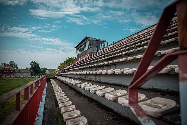 实是一面镜 实是一面镜