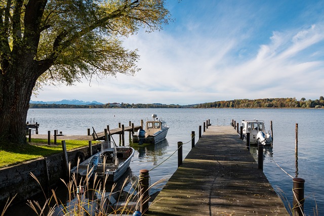 足球场上的 足球场上的