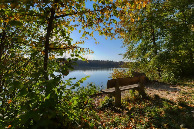 在与公牛的 在与公牛的