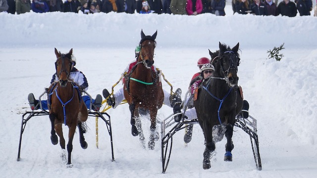 奥尼尔等传 奥尼尔等传